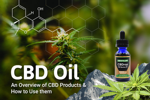 An Overview of CBD Products and How to Use them