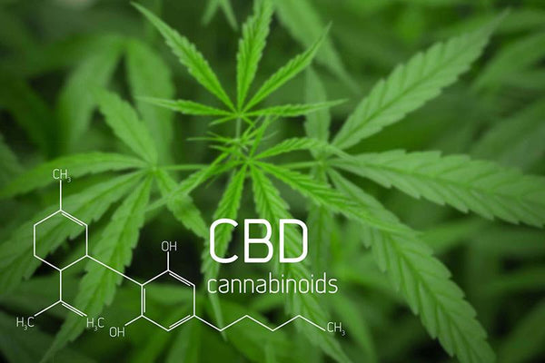 All about Cannabidiol (CBD) Products
