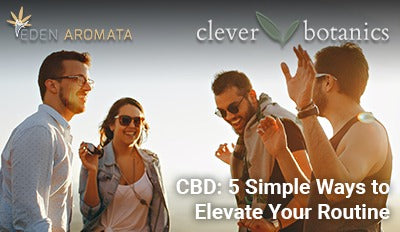 CBD: 5 Simple Ways to Elevate Your Routine
