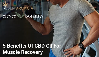 5 Benefits Of CBD Oil For Muscle Recovery
