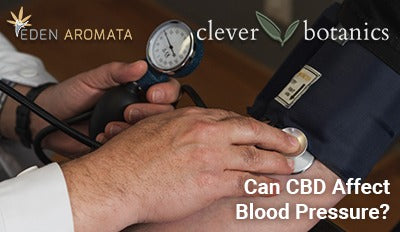 Can CBD Affect Blood Pressure leading to hypertension?