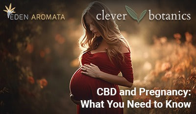 CBD and Pregnancy: What You Need to Know