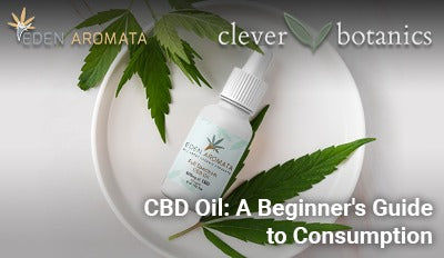CBD Oil: A Beginner's Guide to Consumption