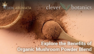 Explore the Benefits of Organic Mushroom Powder Blend