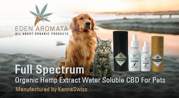 Water Soluble Hemp Extract by Eden Aromata