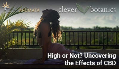 High or Not? Uncovering the Effects of CBD, vs THC: What's the Difference?
