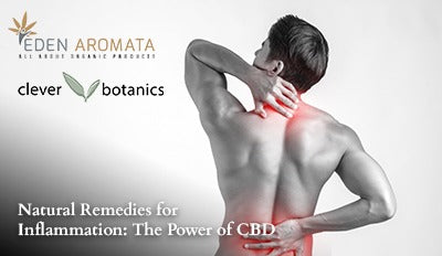 Natural Remedies for Inflammation: The Power of CBD