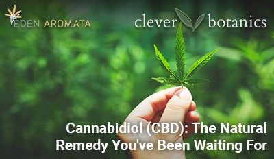 Cannabidiol (CBD): The Natural Remedy You've Been Waiting For