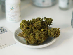 'Pineapple Buffalo' Eden Aromata Hemp Flower 