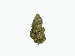 'Skunk' GMP Eden Aromata Hemp Flower 