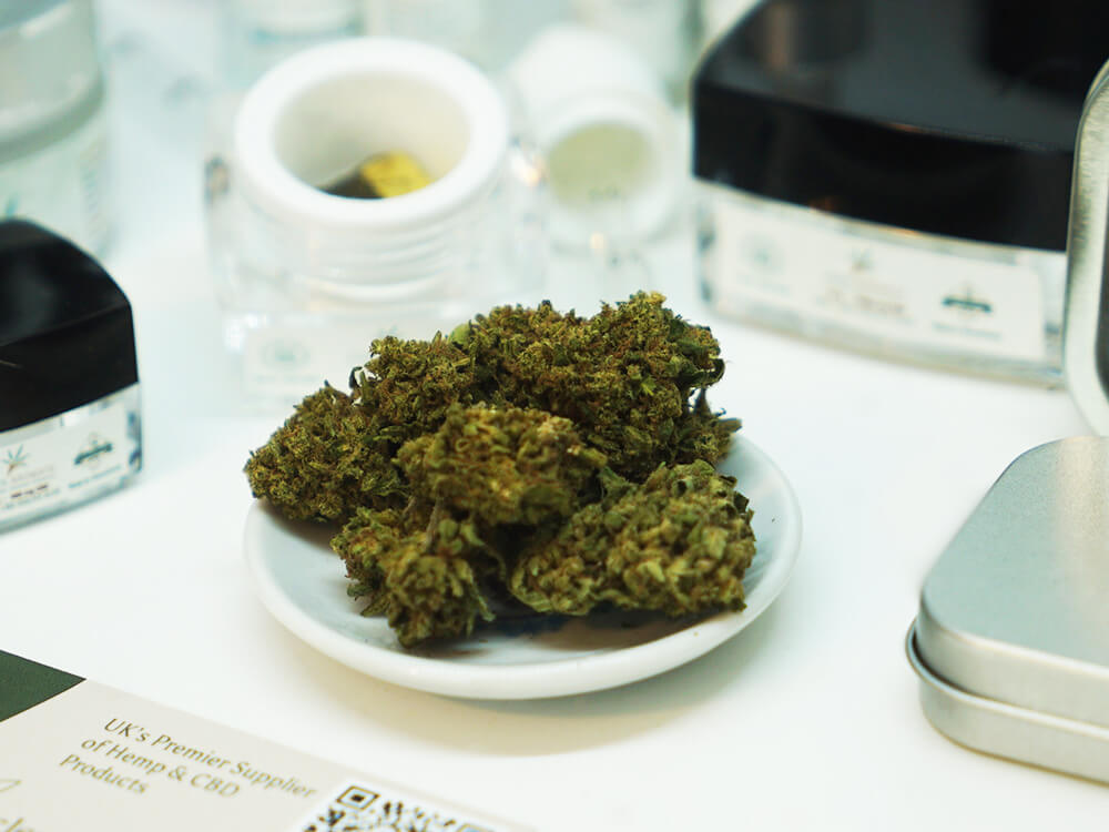 CANNABIS×Barbudos×yasuhide ono3点セット CANNABIS×Barbudos×yasuhide ono3点セット CANNABIS×Barbudos