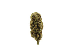 'Gorilla Grips' CBD Hemp Flower +21% CBD only £9.6 for 1g after discount